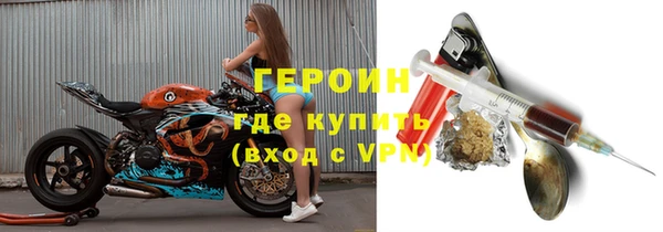гашик Алексин