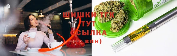 гашик Алексин