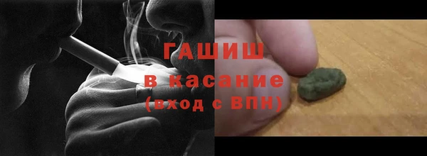 гашик Алексин