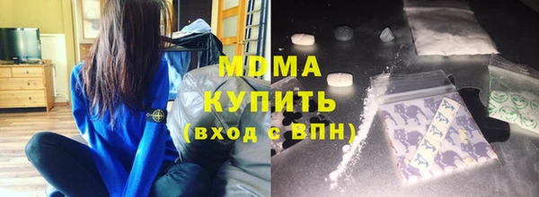 гашик Алексин