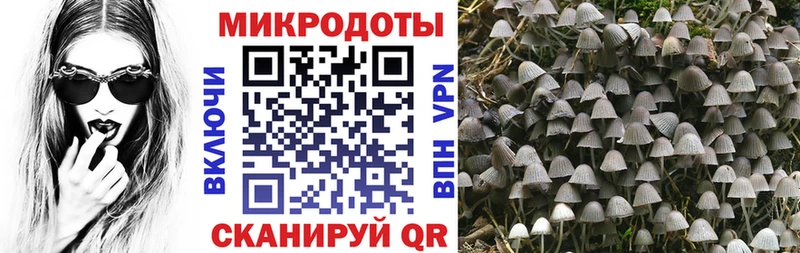 Галлюциногенные грибы мухоморы  Купить  Ишимбай 